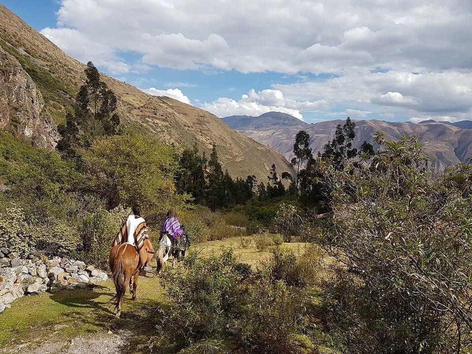 Early Bird: 11-day Huachuma Journey in the Sacred Valley, Peru