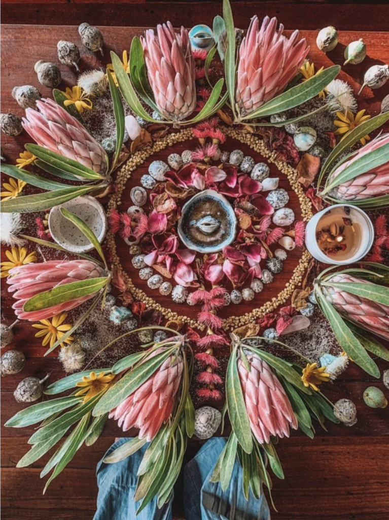 Aeracura Collective 8