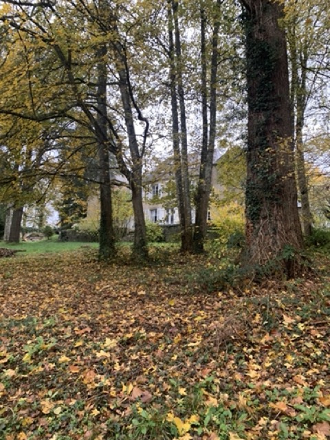 La Maison 6