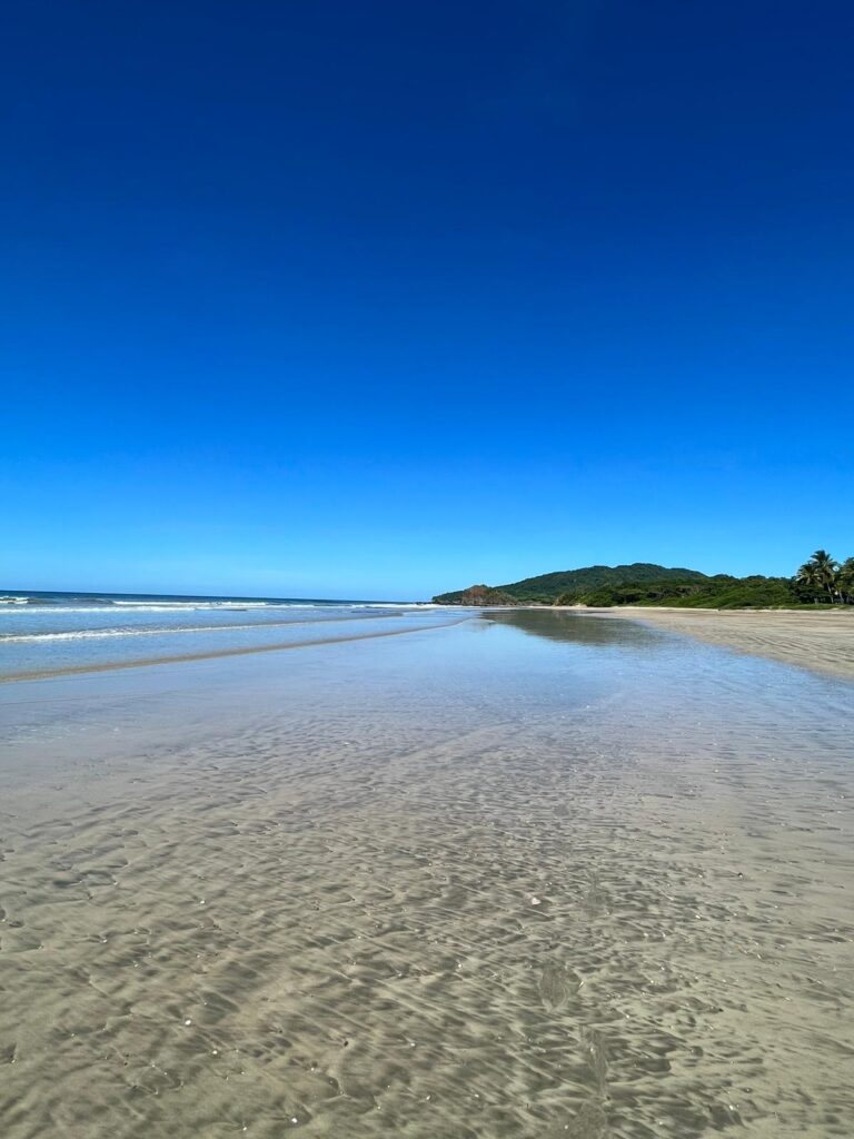 Sol Sanctuary 6