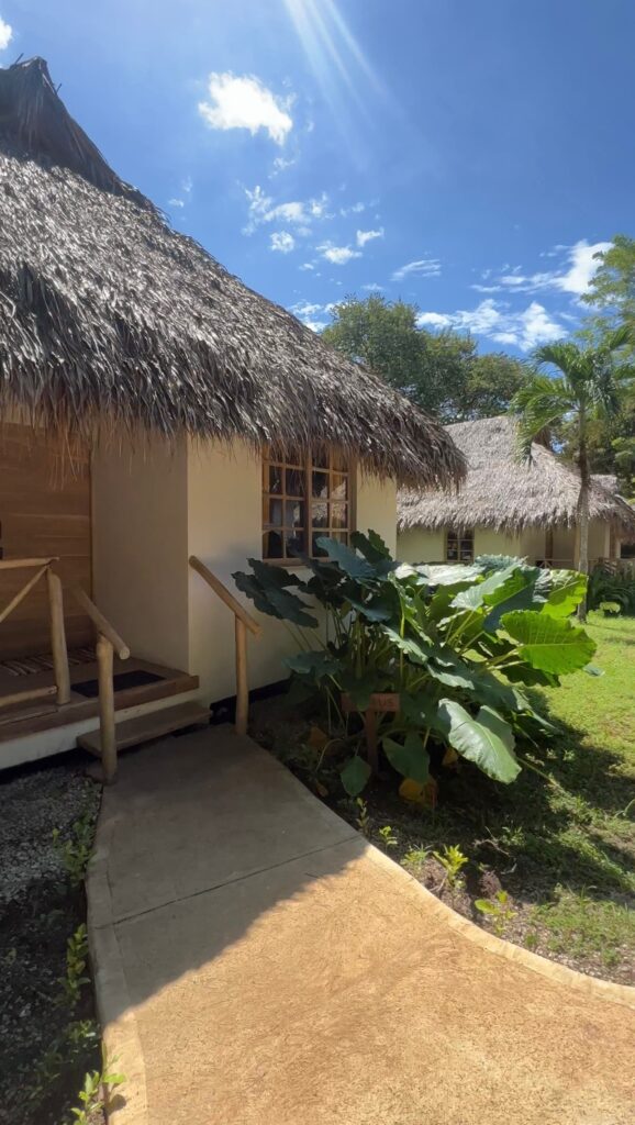 Sol Sanctuary 3