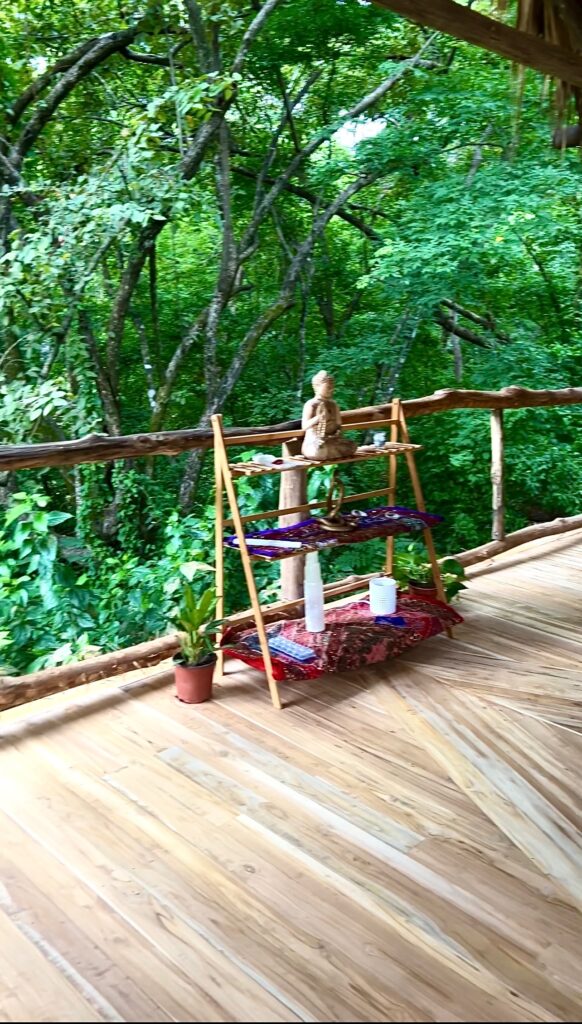 Sol Sanctuary 2