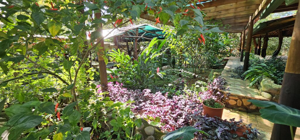 BellaVista Costa Rica - Curated Lifestyle Experiences 6