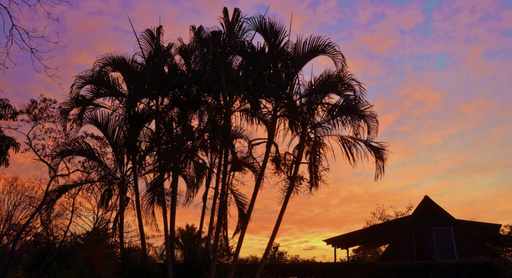 BellaVista Costa Rica - Curated Lifestyle Experiences 3