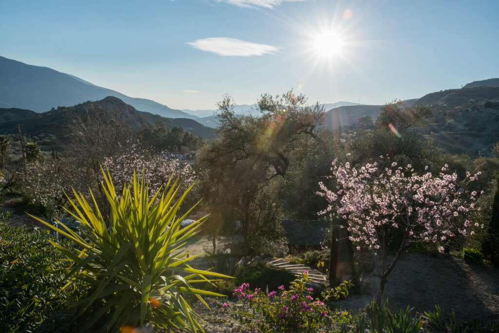 Reiki Coaching Therapy 6