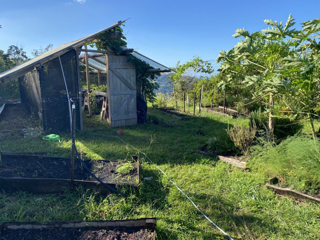 Pura Finca 6