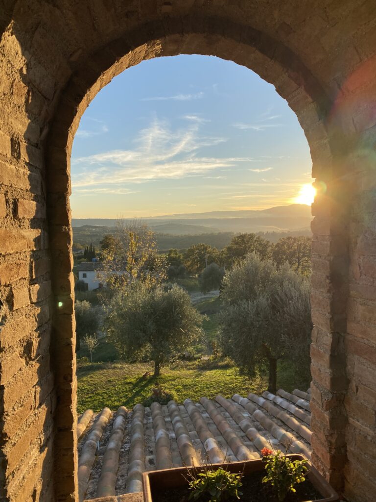 Oasi Sorgente 4