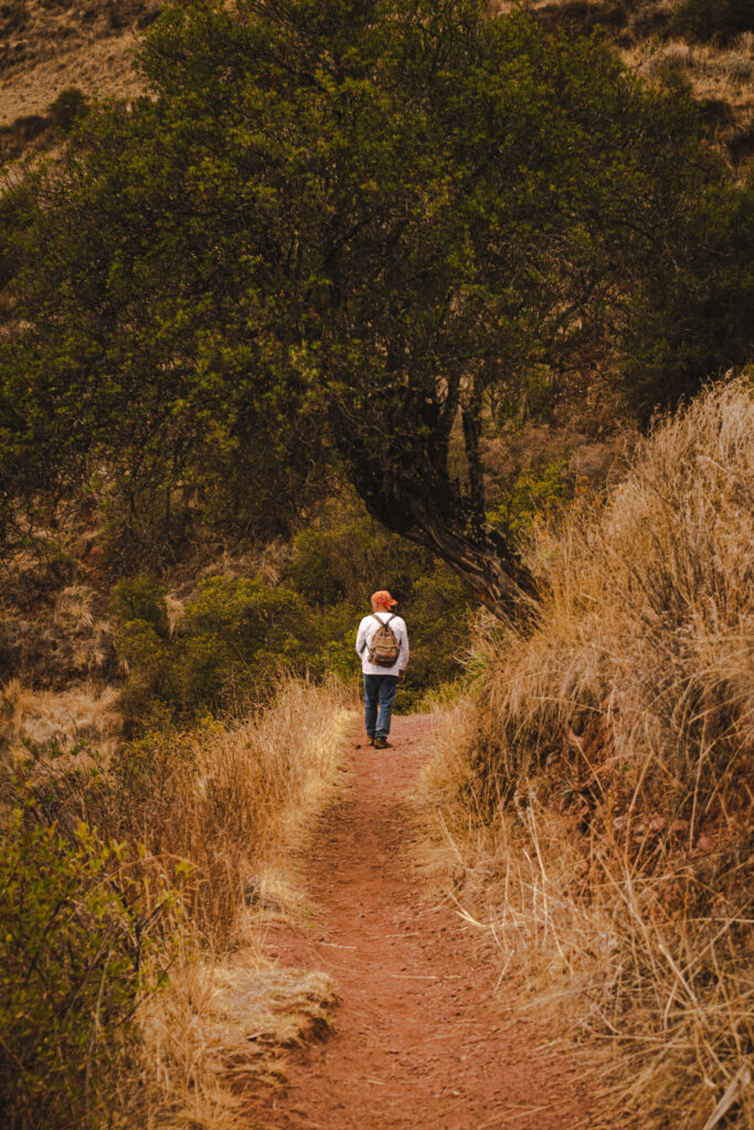 Andean Healing Retreat 5 days with a variety of plant medicine in a safe environment