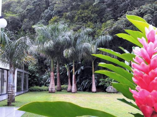 Serenity Restored: A Couples' Retreat for Recovery and Reconnection 3