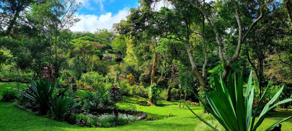 Serenity Restored: A Couples' Retreat for Recovery and Reconnection 2