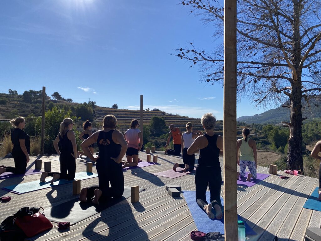 Sonrisa Wellness 2