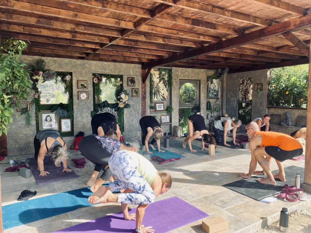 Sonrisa Wellness 8