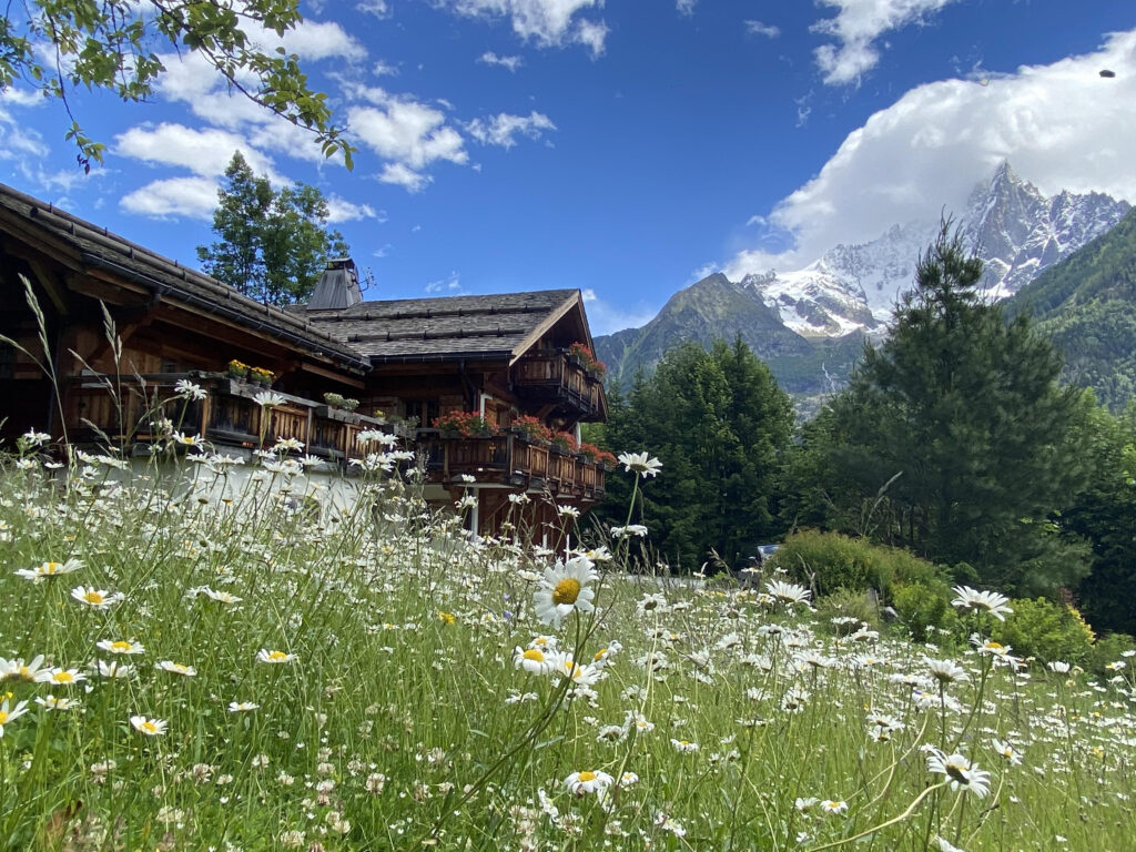 Edelweiss Yoga Chalet 2