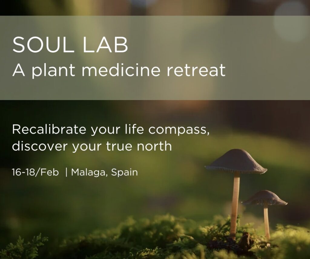 Soul Lab Retreats