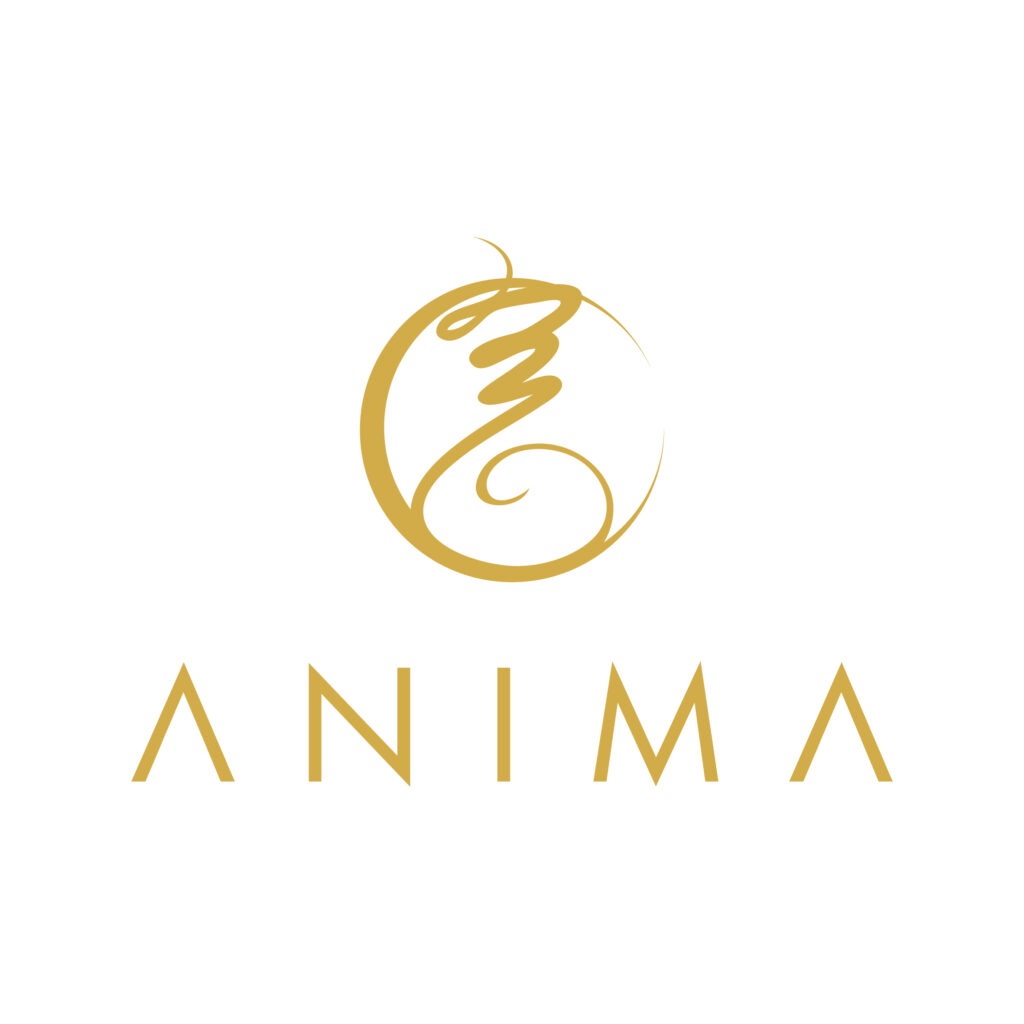 Anima retreat 3