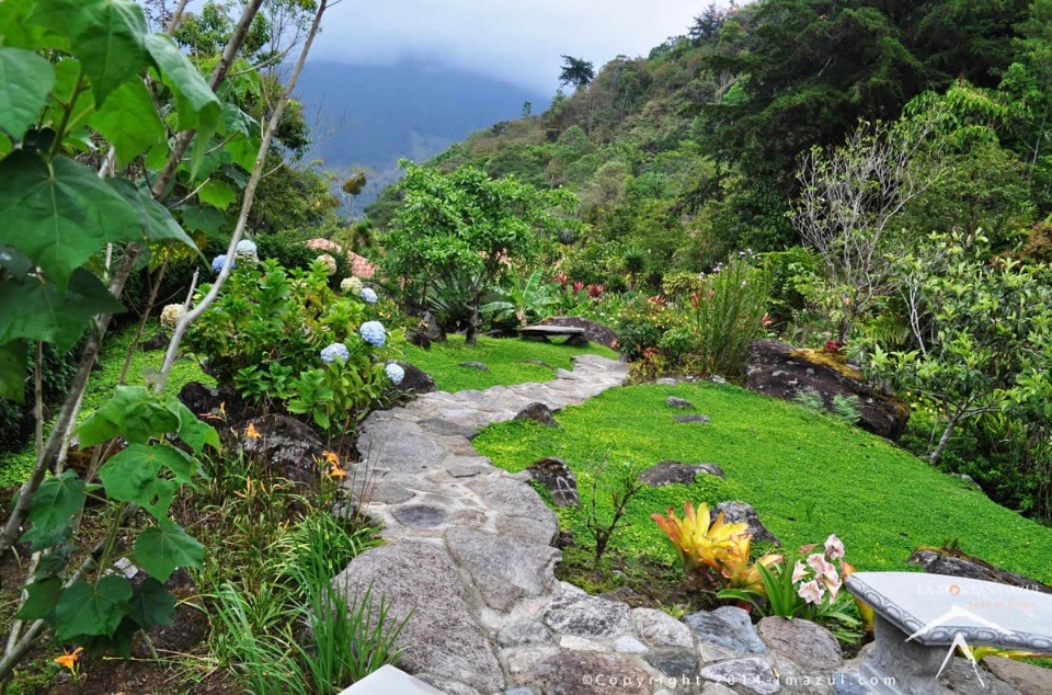 Selva Dance Retreats 7