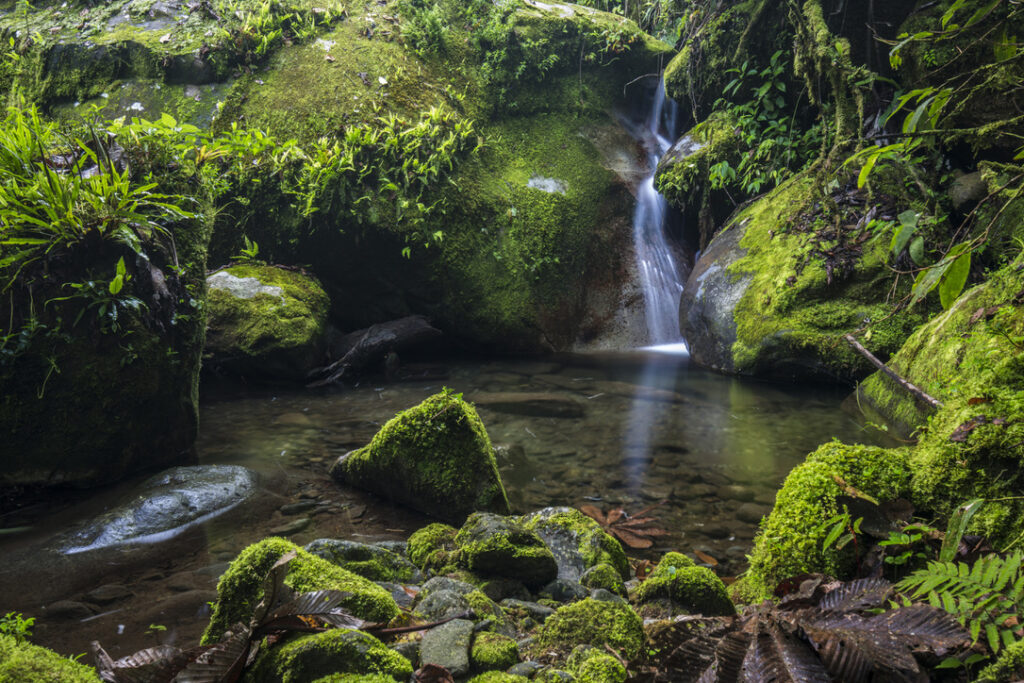 Selva Dance Retreats 4