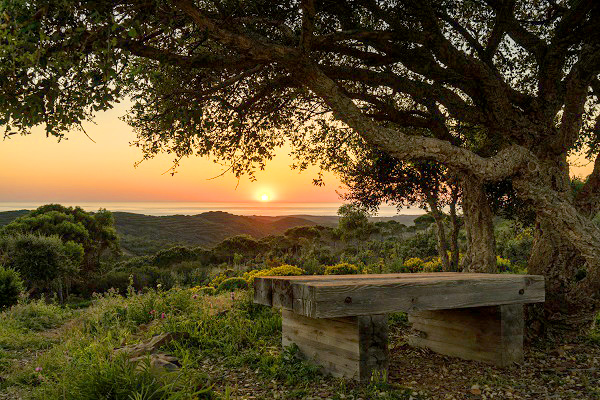 Somalight Retreat 2