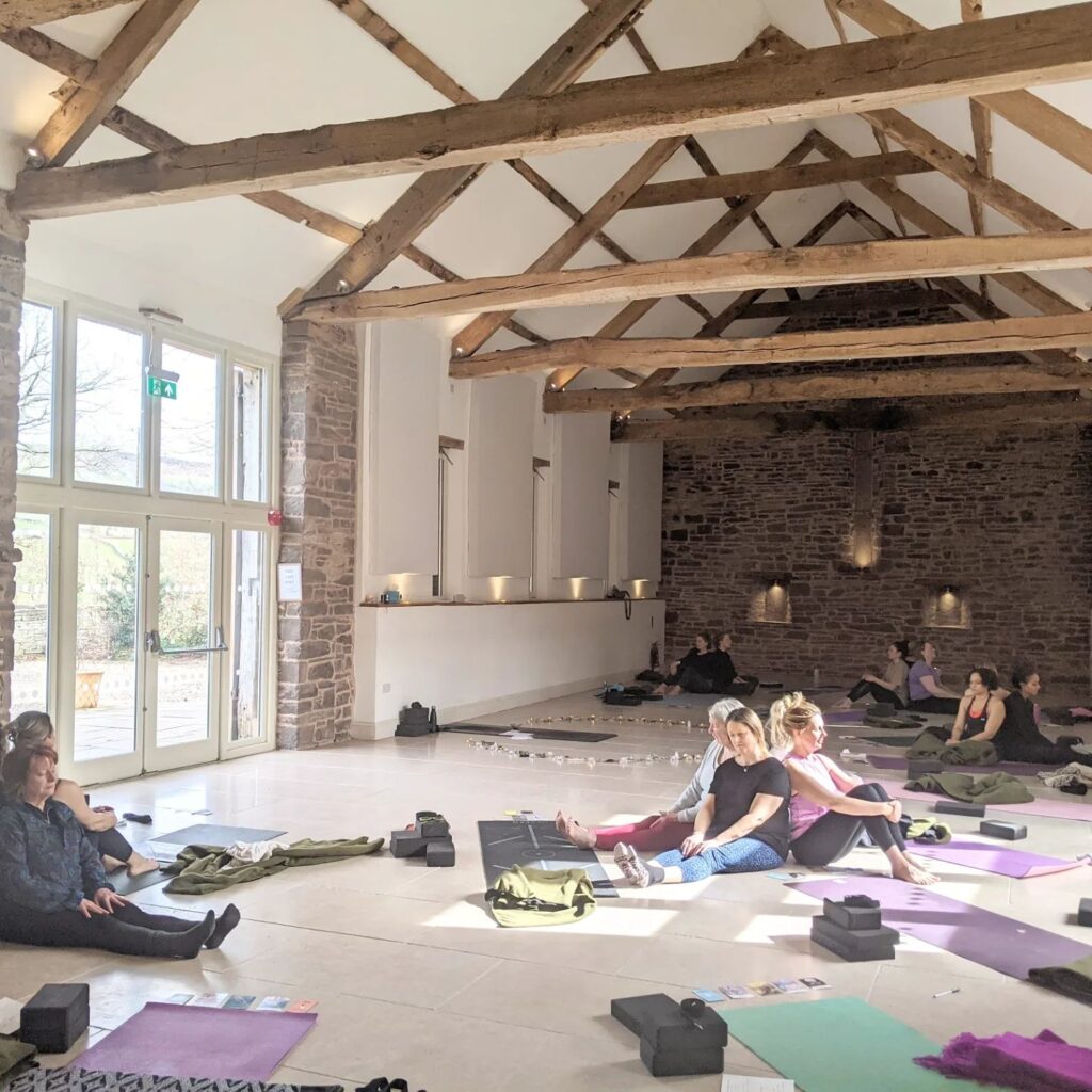 Yogi Claire 3