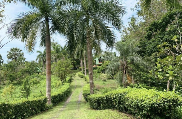 Living Ayurveda Retreat