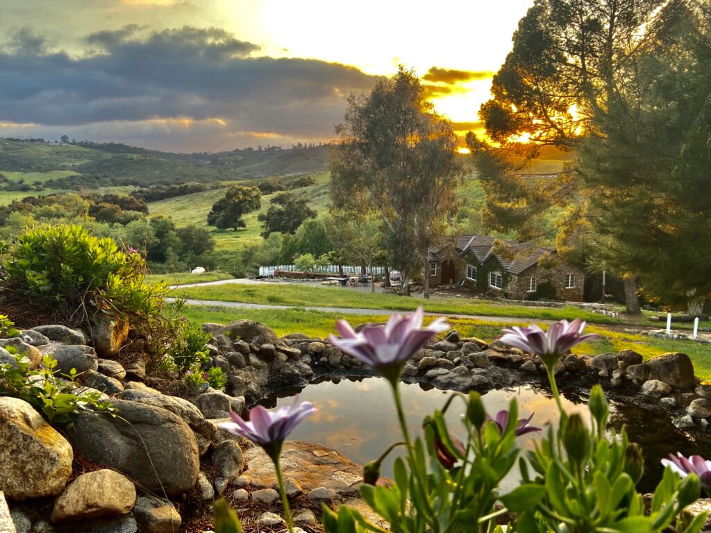 Rocas Retreat
