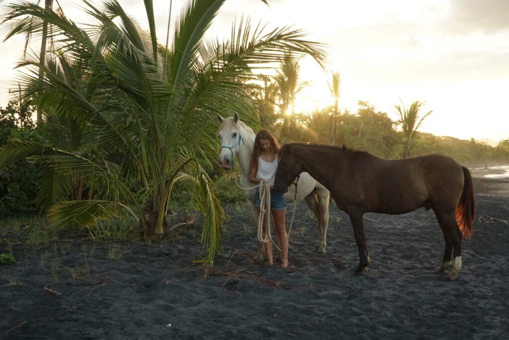 Mana - Horse and Yoga Retreat