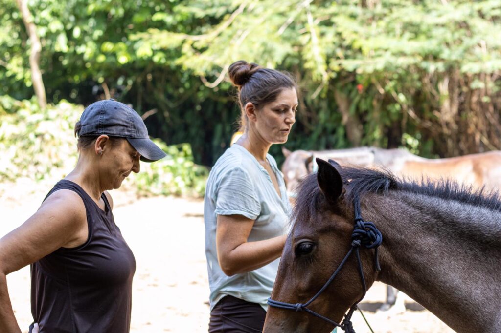 Mana - Horse and Yoga Retreat 3