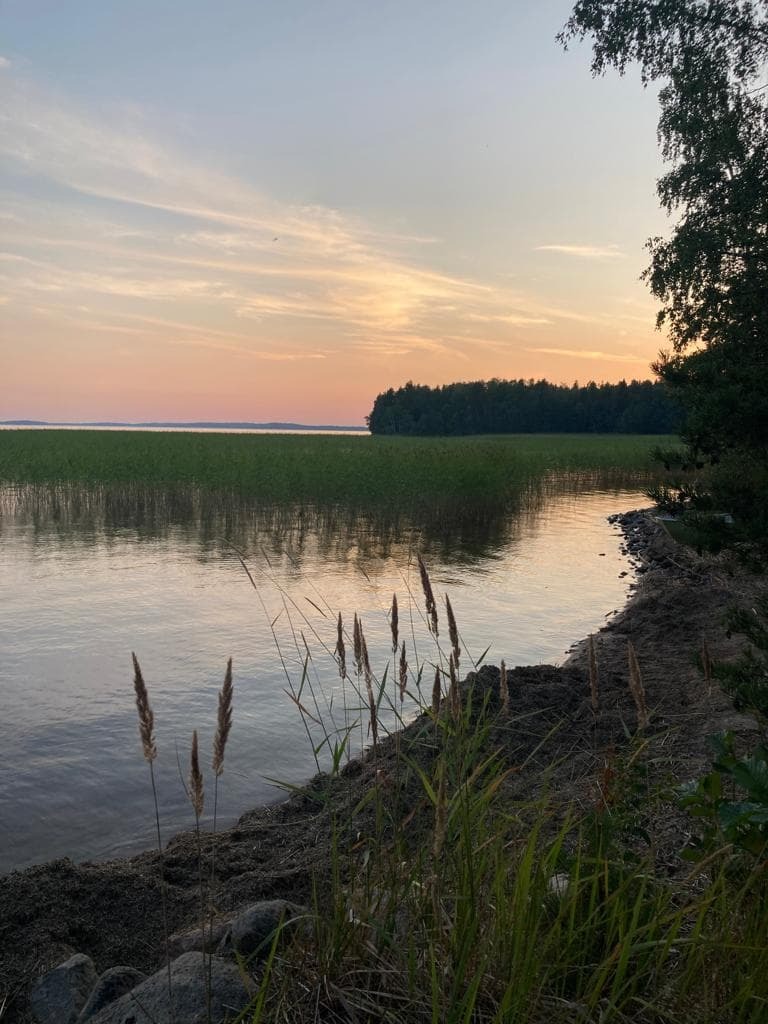 6 Day Silent & Digital Mindfulness Nature Retreat by Lake Saimaa