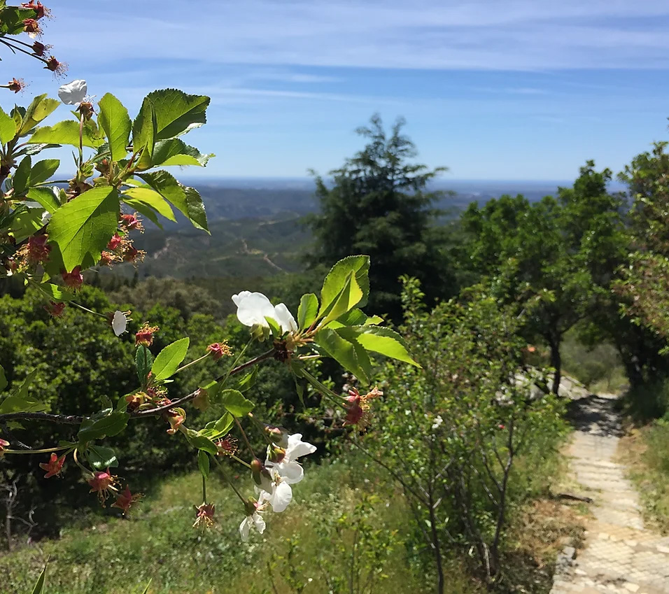 Tergar Retreats 4
