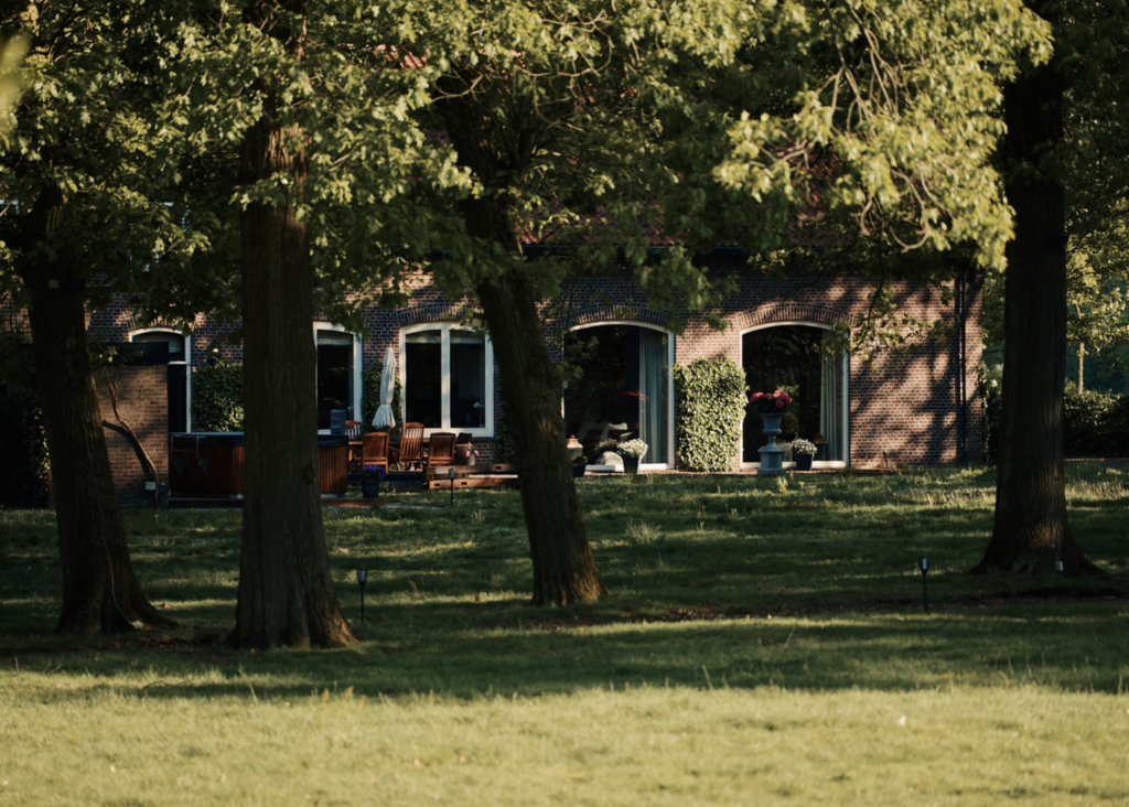 4-Day Psilocybin Retreat + Preparation & Integration Support 3