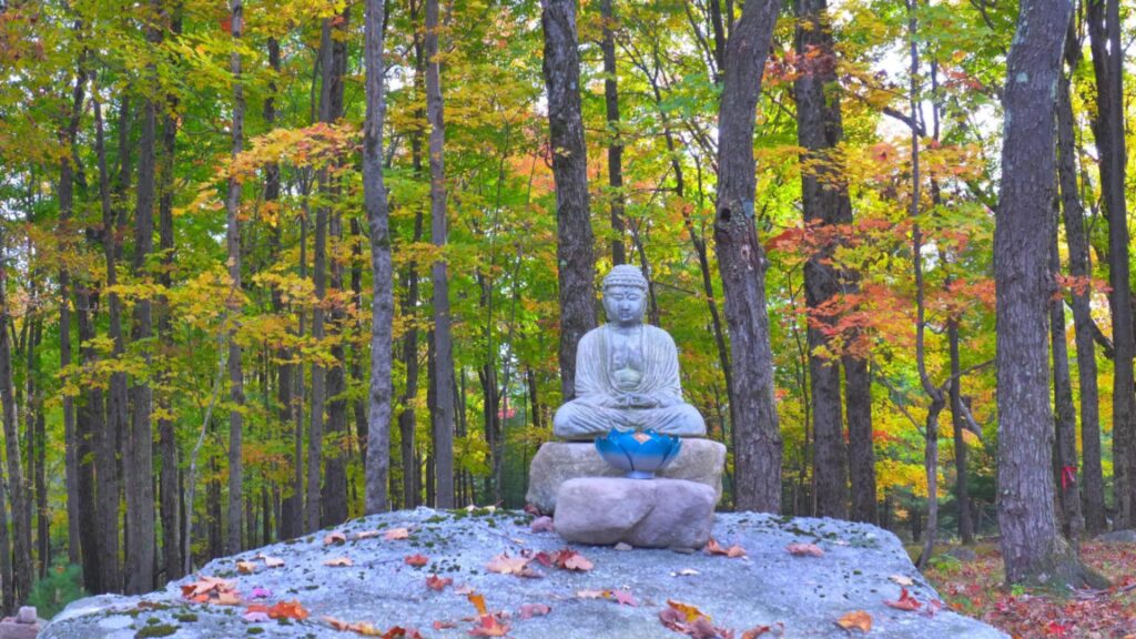 The Power of Silence: A Silent Retreat for Body, Mind, and Spirit
