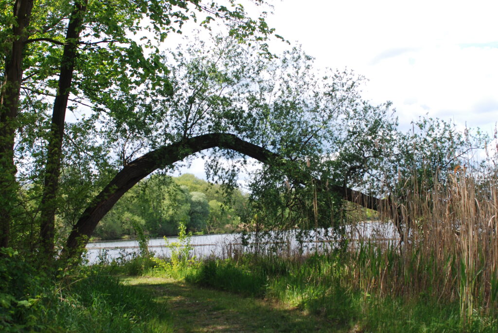 miniretreat 3