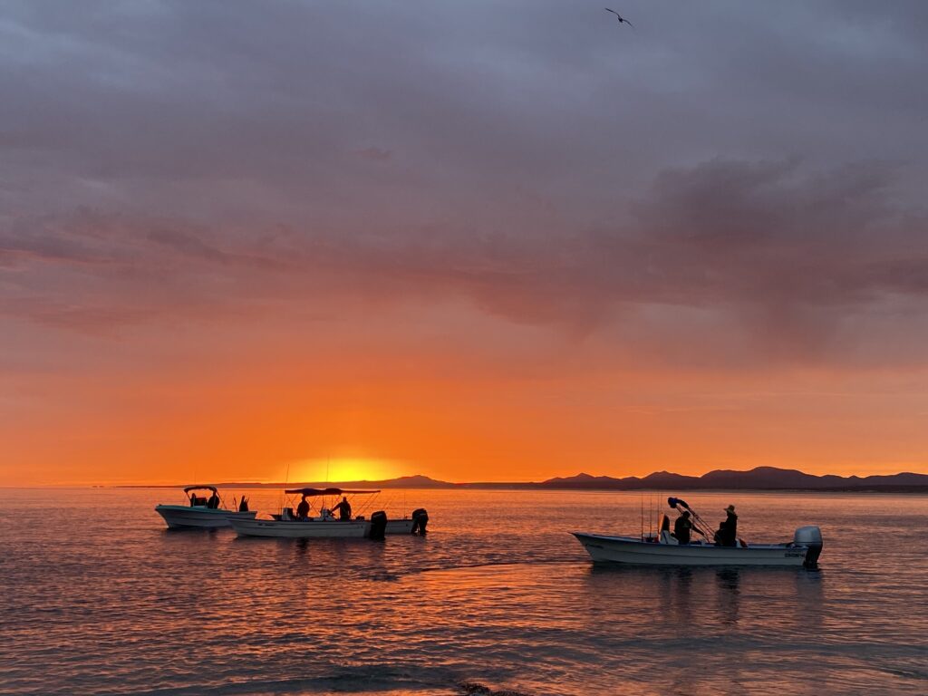 Agua Salada 7