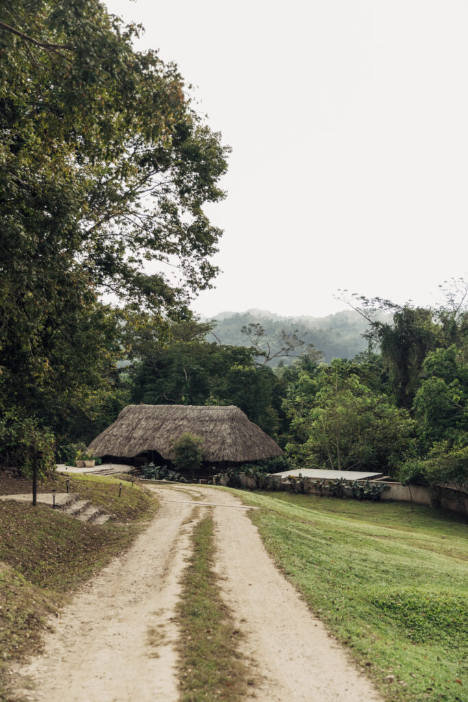 Jade Jungle Resort
