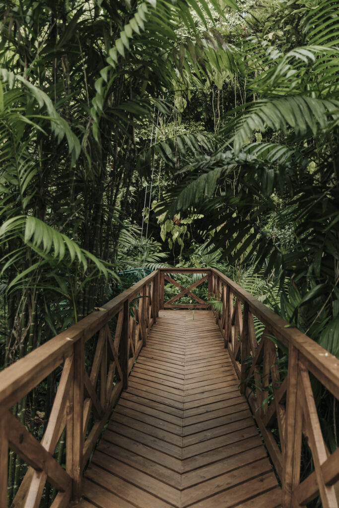 Jade Jungle Resort 2