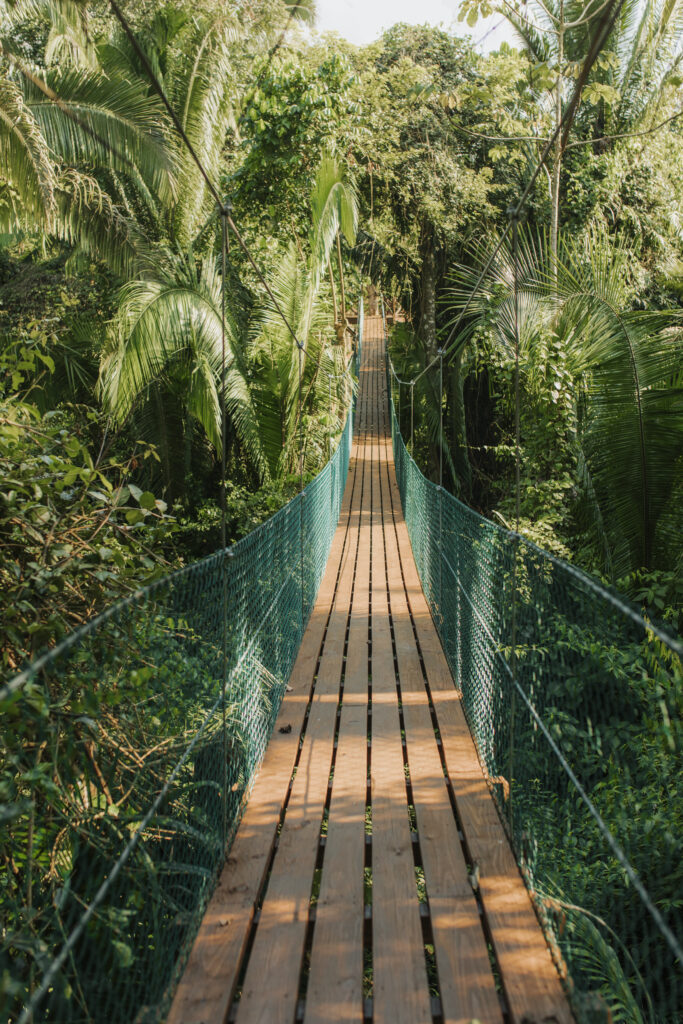 Jade Jungle Resort 8