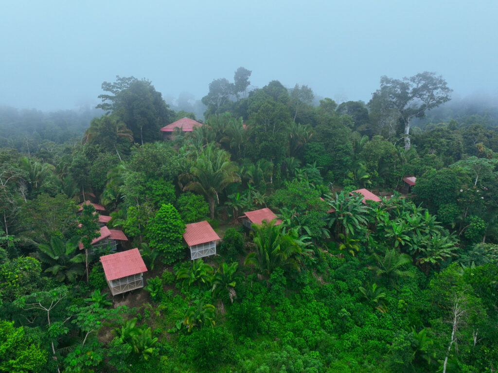 MADRE SELVA RESORT 4
