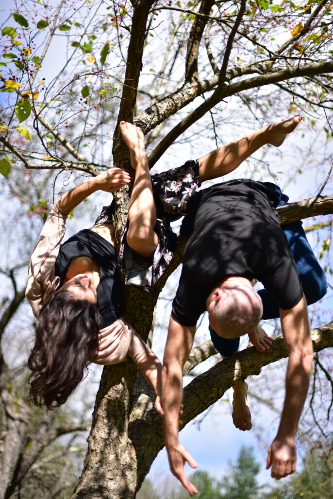 Earthdance Creative Living 6