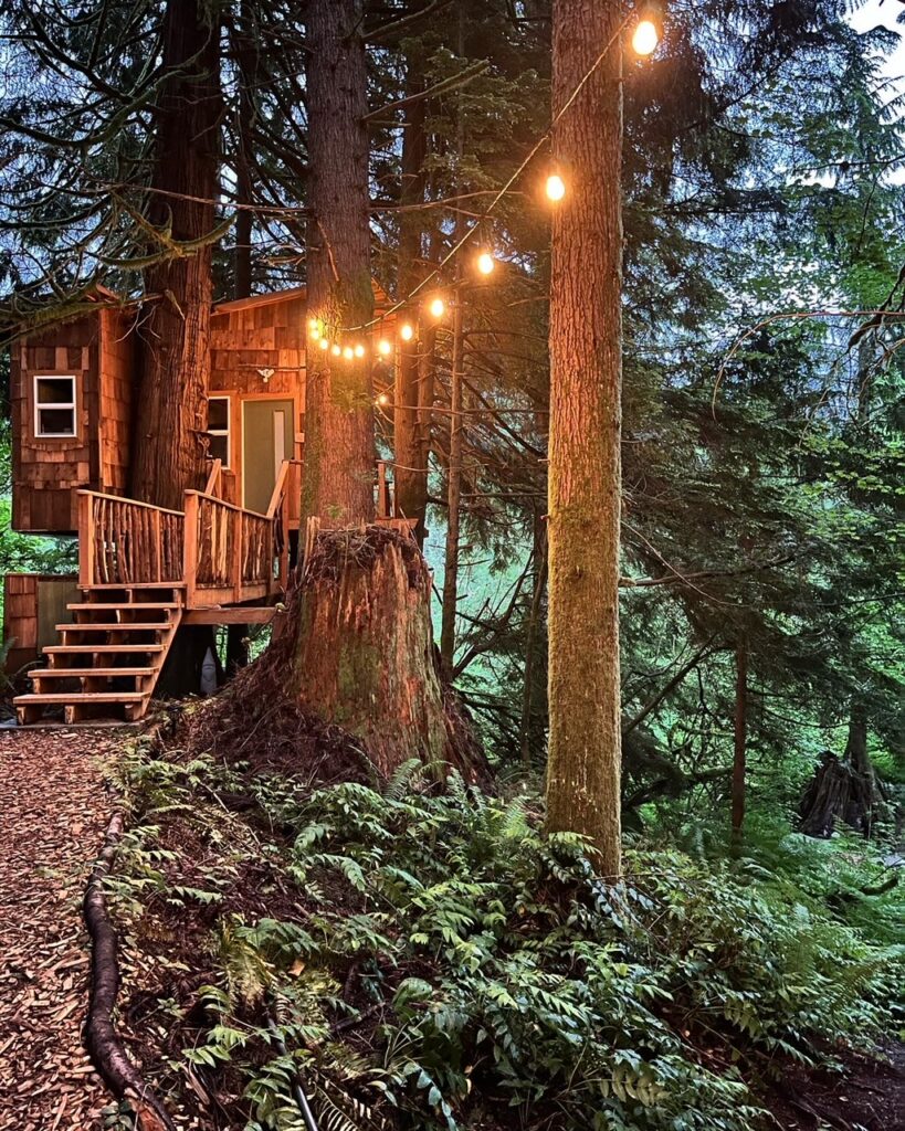 Cozy Acres Retreats 5