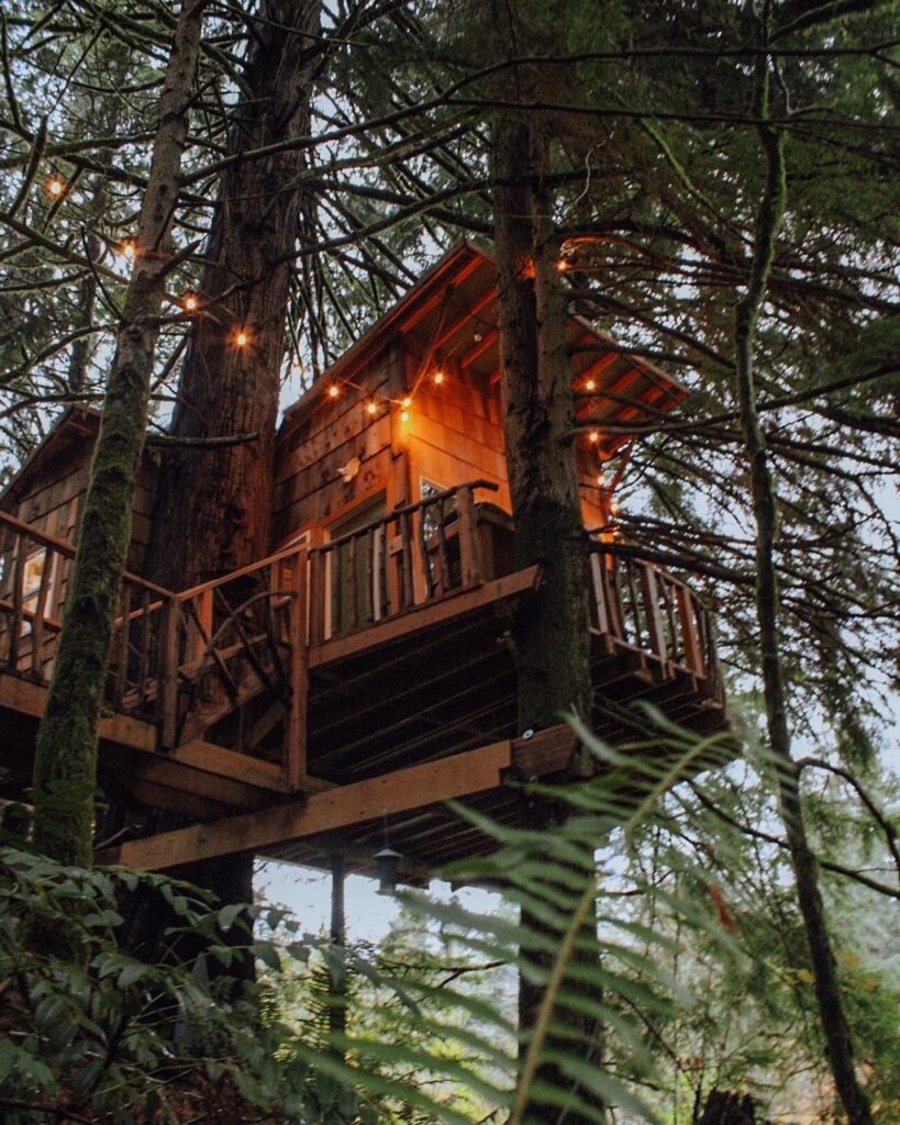 Cozy Acres Retreats 6