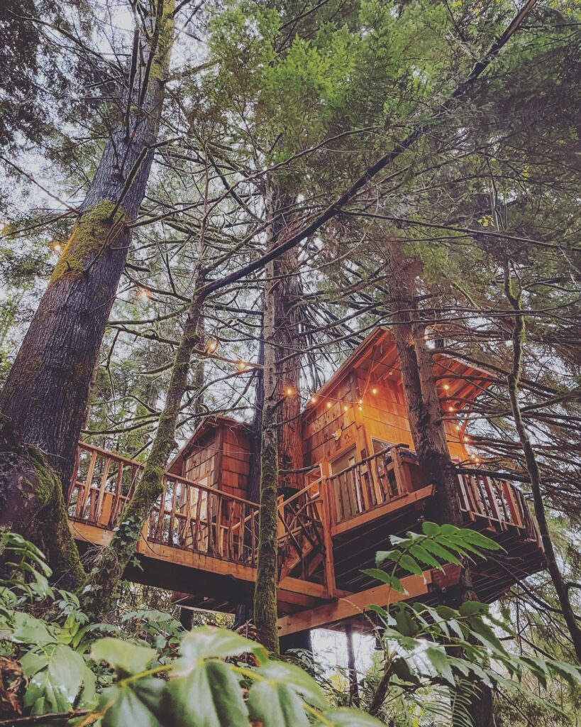 Cozy Acres Retreats 2