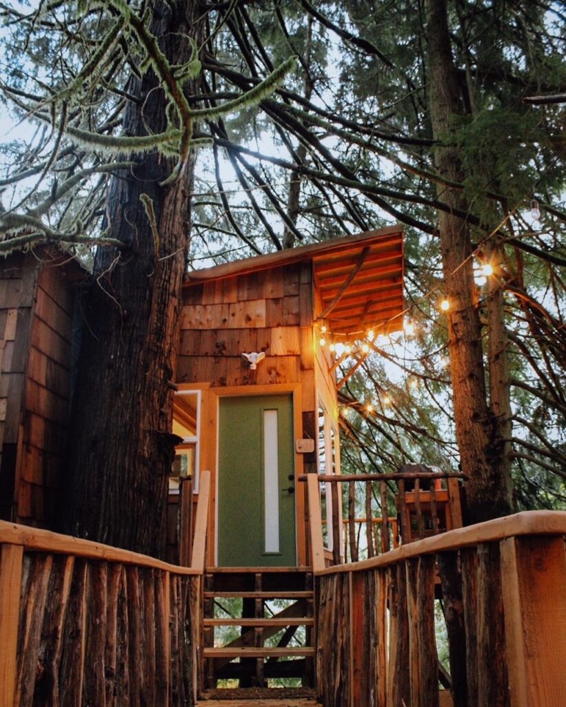 Cozy Acres Retreats 3
