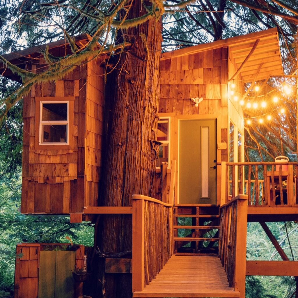 Cozy Acres Retreats 4