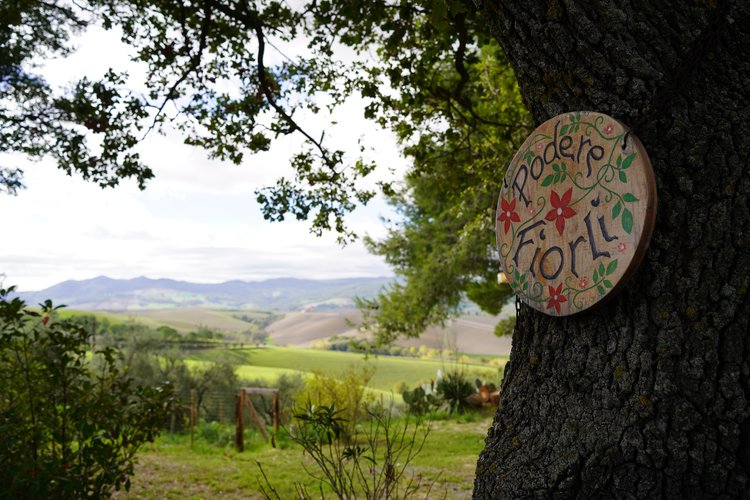 Tuscan Retreat 7