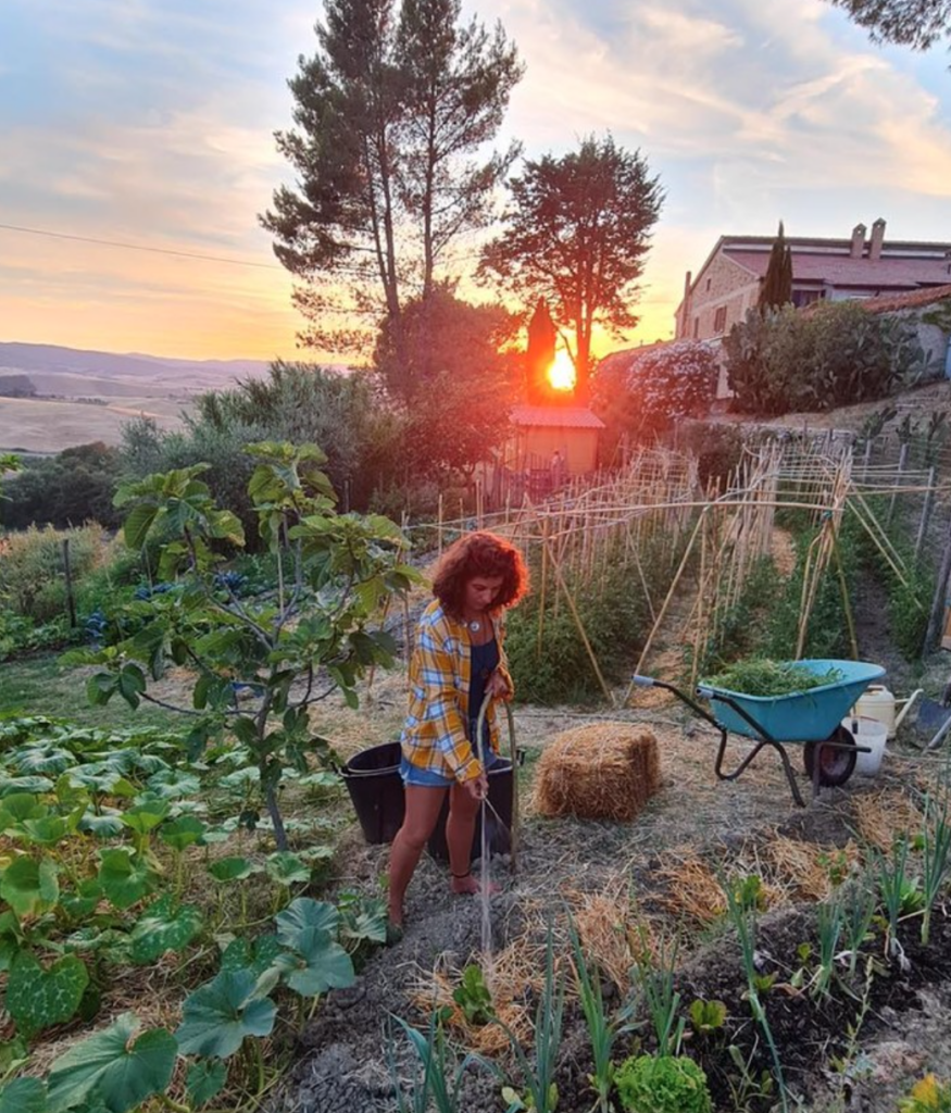 Tuscan Retreat 4