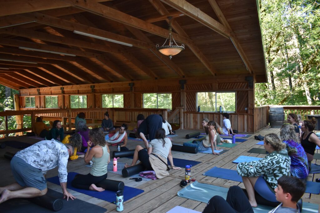 Agni Yoga 3
