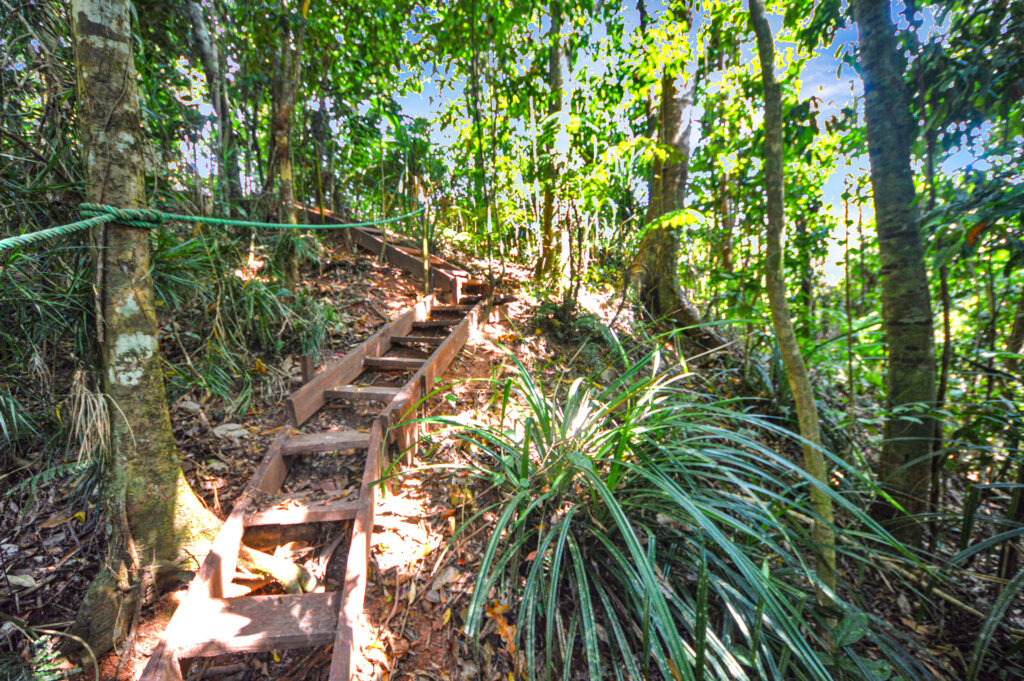 Magic Mena Rainforest Retreat 6