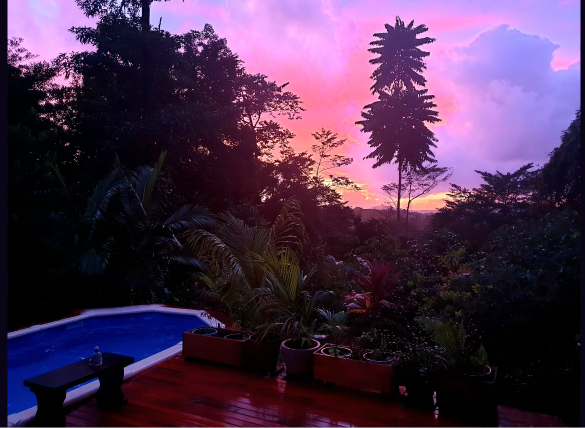 Magic Mena Rainforest Retreat 4