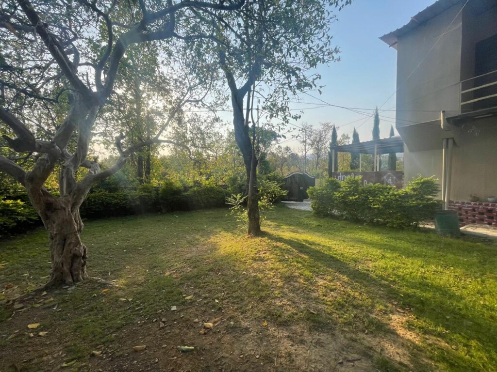 jungle tale Retreat
