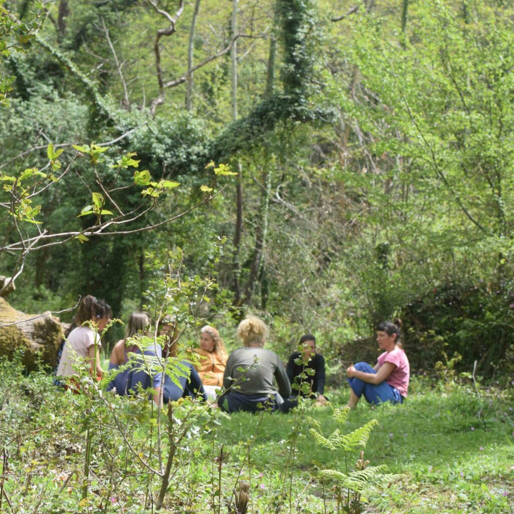Olive Flow Retreat 3